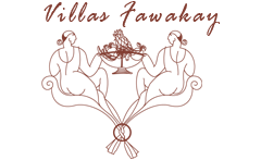 logo_fawakay
