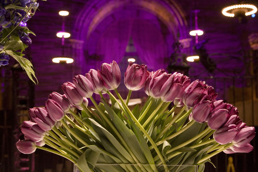 wedding photographs by Olivier Lalin Photographer from WeddingLight