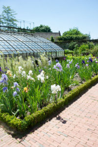 Paris wedding planner