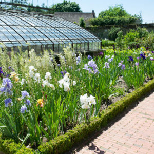 Paris wedding planner